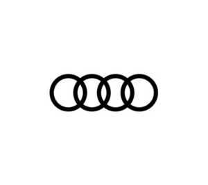 Referenz Audi Kunde