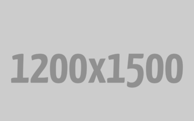 Custom Built Blog Post with Divi in the SuperTheme Milo